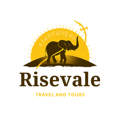 Risevale Travel & Tours